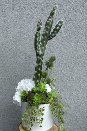 Kompozycja w białym naczyniu z zielonymi sukulentami, kaktusem i białymi kwiatami hortensji.