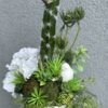 Kompozycja w białym naczyniu z zielonymi sukulentami, kaktusem i białymi kwiatami hortensji.