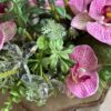 Kompozycja sztuczna wykonana w białej szkliwionej osłonce z dodatkiem silikonowych różowych storczykiem dopełnionych sukulentami, zielonymi liśćmi oraz kamieniem ze sztucznego mchu.
